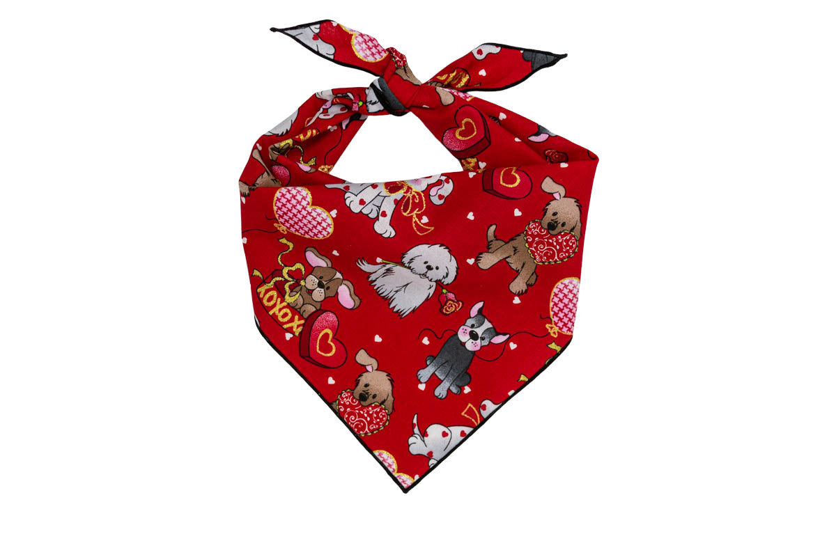 Valentine Bandana | Valentines Day Bandana | Valentine Dog Red Bandana - Southlake Paws