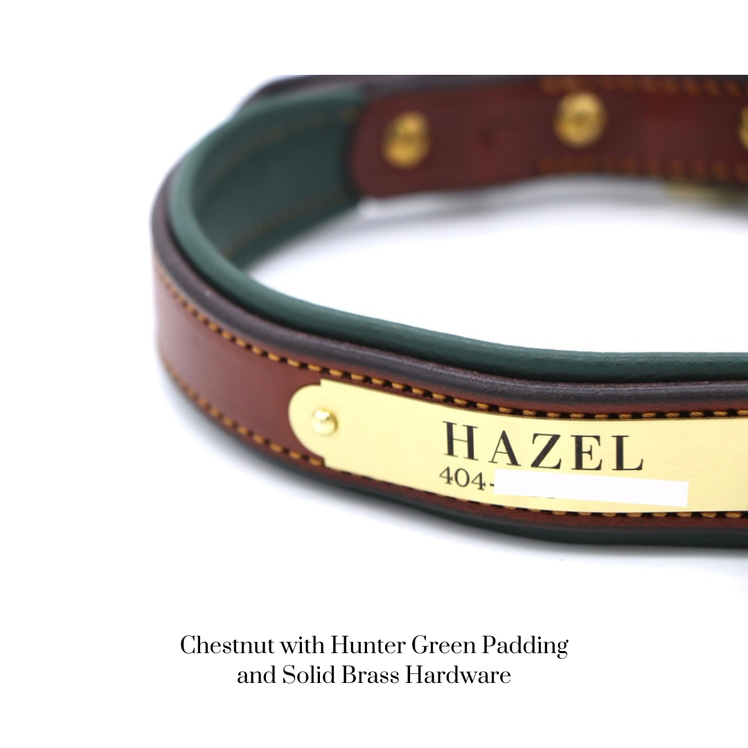 Padded Dog Collar - image 8