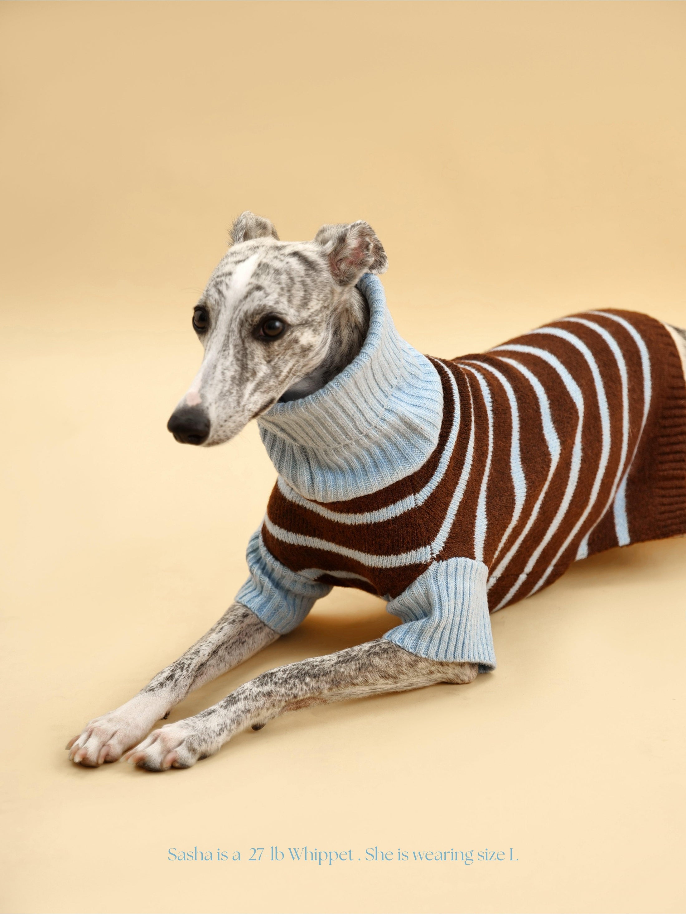 Bluebell Stripes Sweater 