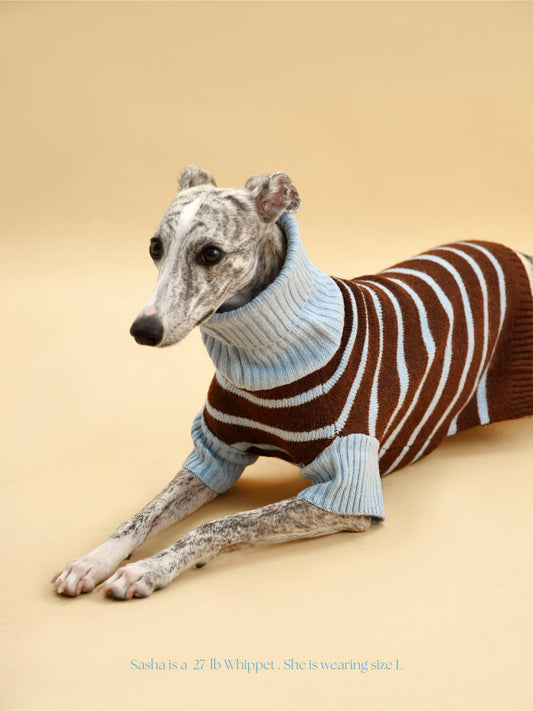 Bluebell Stripes Sweater 