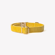 'Yellow' - Velvet Dog Collar 