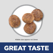 Hill's Science Diet Adult Small & Mini Chicken Meal & Rice Recipe Dry Dog Food Bag 