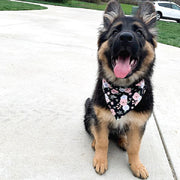 Floral Bandana Flower Dog Bandana   | Spring Dog Bandana