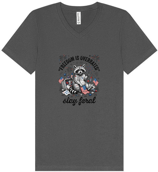 Freedom is Overrated Unisex V-Neck Shirt