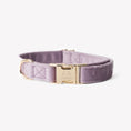 Load image into Gallery viewer, 'Lilac' - Velvet Dog Collar 
