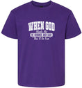 Load image into Gallery viewer, God Said "This'll Be Fun" Children's Gildan Soft Shirt

