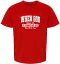 Load image into Gallery viewer, God Said "This'll Be Fun" Children's Gildan Soft Shirt
