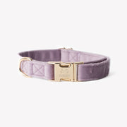 'Lilac' - Velvet Dog Collar 