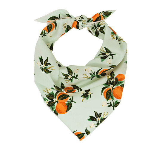Floral Bandana, Flower Bandana, Dog Bandana by Rifle Paper Co | Spring Bandana, Orange Blossom - Southlake Paws