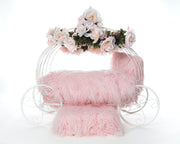 Flower Girl Dog Carriage