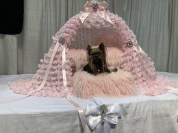 Baby Doll Dog Carriage