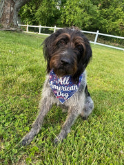 Patriotic Dog Bandana |  All American Dog Bandana | Memorial Day | 4th of July Dog Bandana | Fireworks