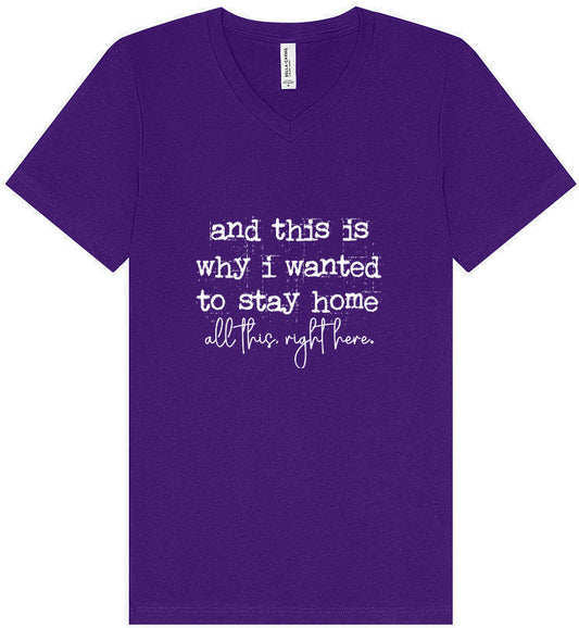 This is Why I Wanted to Stay Home Unisex V-Neck Shirt
