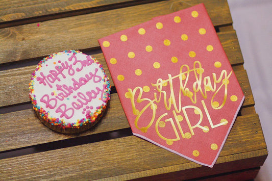 Birthday Girl Dog Birthday |  Birthday Dog Bandana | Happy Birthday Bandana | - GOLD FOIL - Southlake Paws