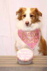 Birthday Girl Dog Birthday |  Birthday Dog Bandana | Happy Birthday Bandana | - GOLD FOIL