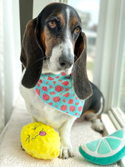 Strawberry Dog Bandana | Food Dog Tie Bandana