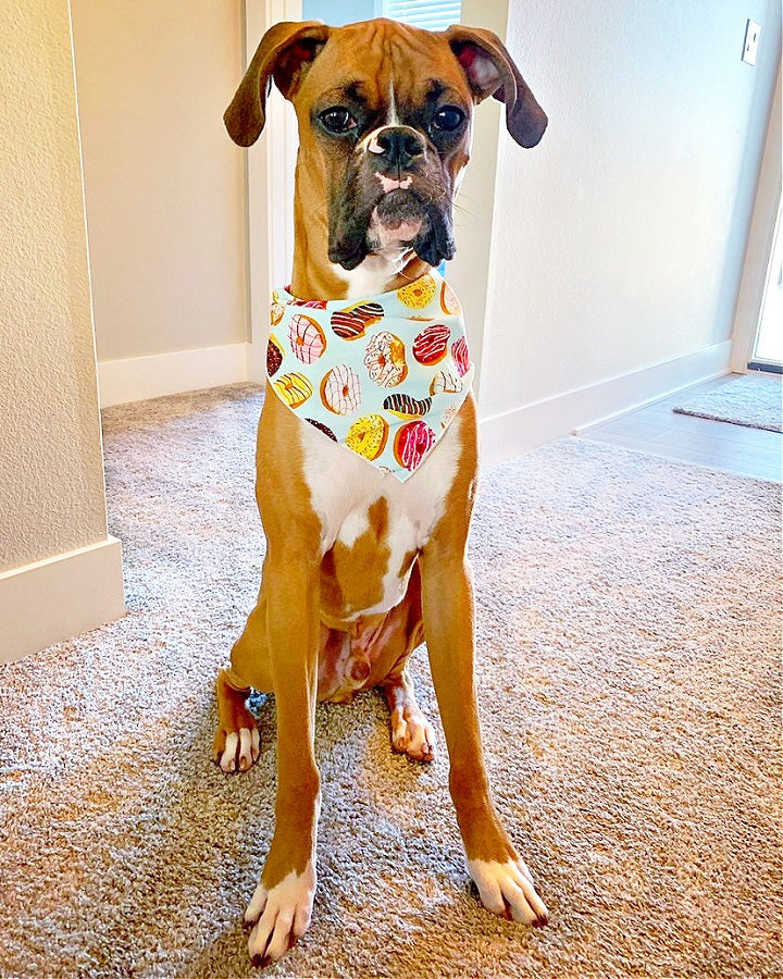 Donut Dog Bandana | Food Dog Tie Bandana