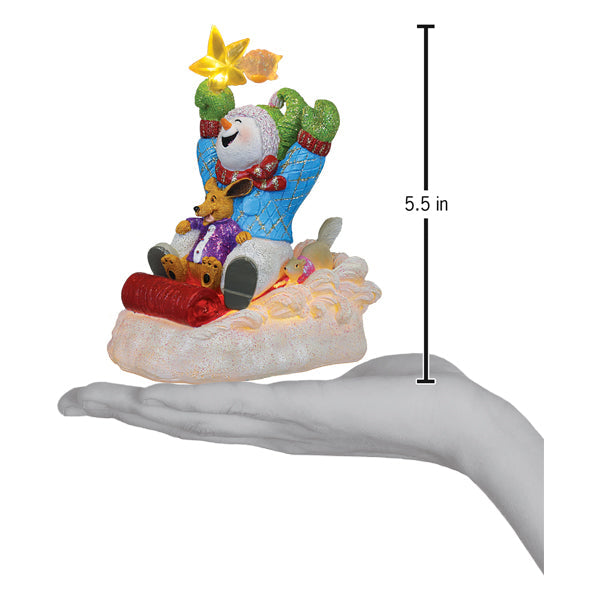 Star Powered Snow Boy Lighted Figurine - Southlake Paws