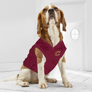 Cleveland Cavaliers Mesh Basketball Jersey by Pets First 