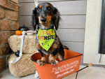Halloween Bandana | Halloween Dog Bandana, Green Spider Web with Spiders | Little Monster