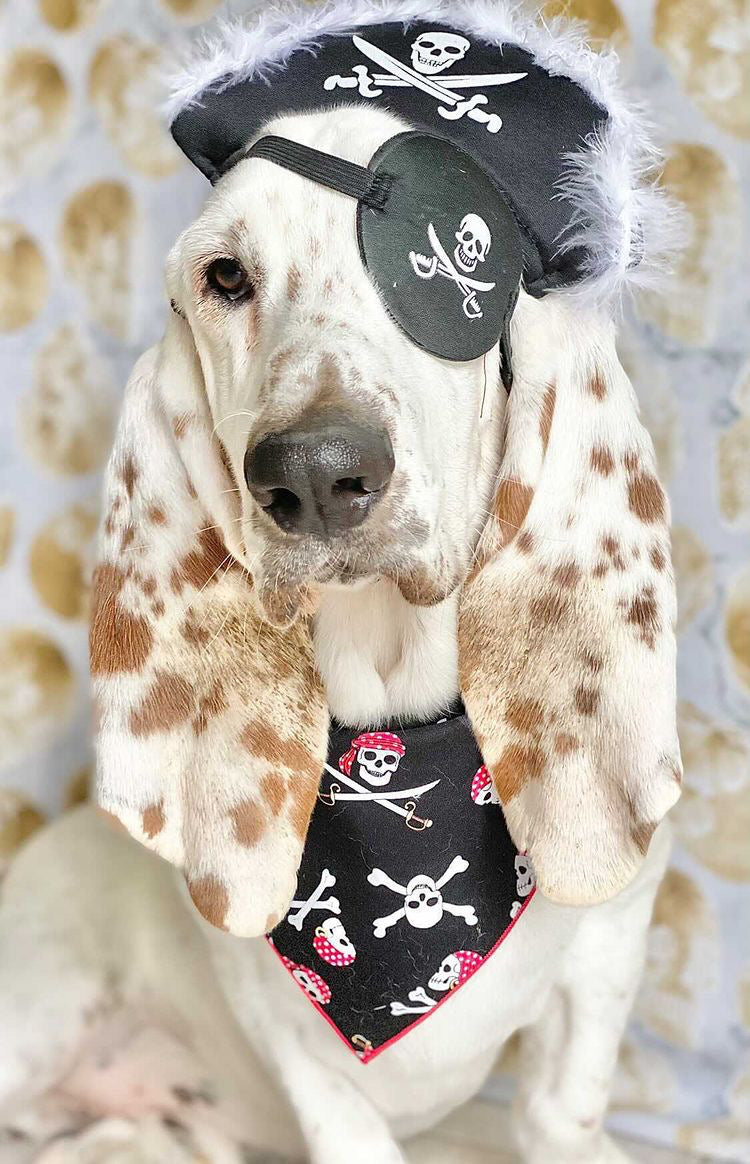 Halloween Bandana | Halloween Dog Bandana Jolly Roger Skull  | Pirate | Sailing | Boat - Southlake Paws