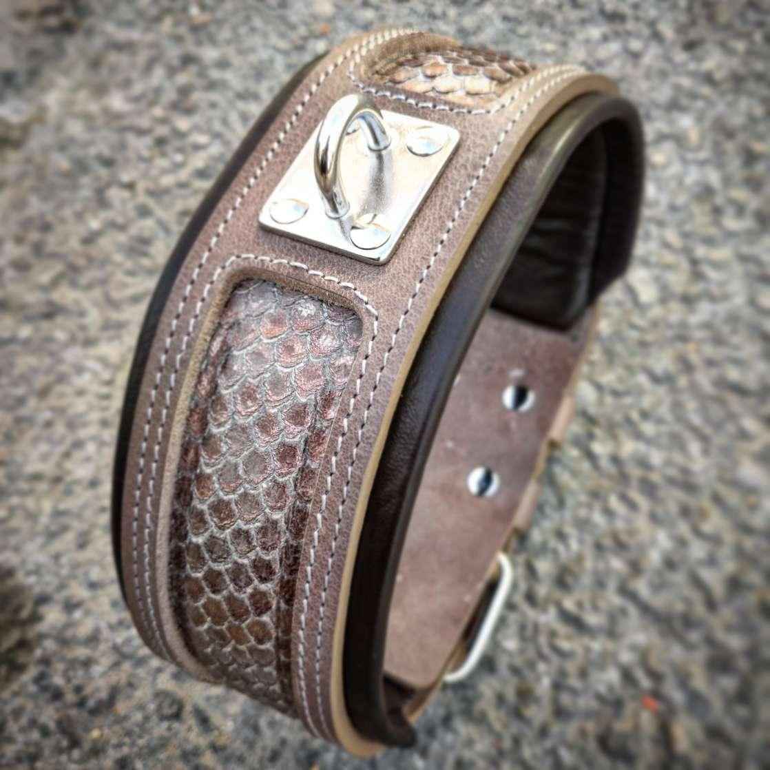 The ''Python'' exclusive design