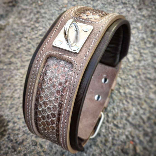 The ''Python'' exclusive design