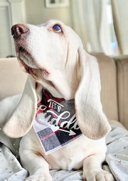 Plaid Dog Bandana | Luxe Flannel dog bandana is Reversible | Christmas Bandana Gift