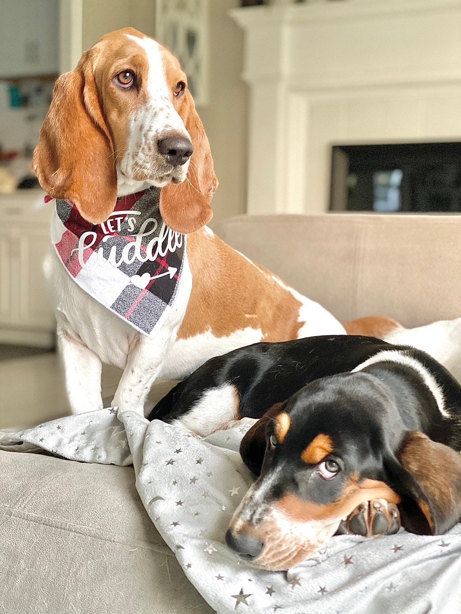 Plaid Dog Bandana | Luxe Flannel dog bandana is Reversible | Christmas Bandana Gift