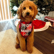 Christmas Bandana - Red Plaid Flannel Dog Bandana  - TOO CUTE FOR THE NAUGHTY LIST | XMAS