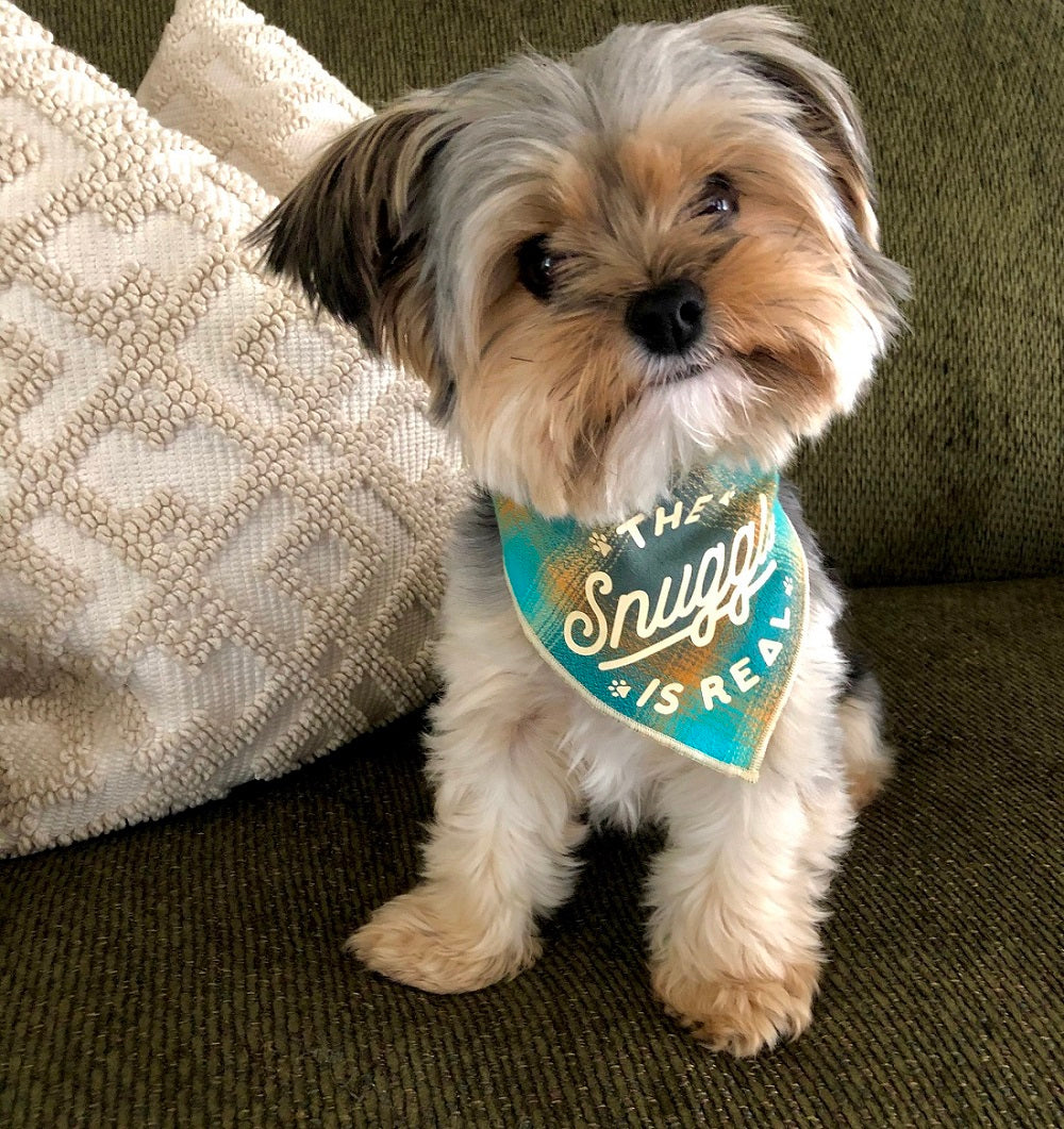 Plaid Dog Bandana | Luxe Flannel dog bandana is Reversible | The Snuggle is Real - Southlake Paws
