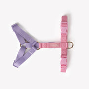 Lavender and Pink - Dog Harness 