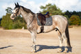 Load image into Gallery viewer, Stardust Grey Saddle Pad Set
