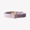 Load image into Gallery viewer, 'Lilac' - Velvet Dog Collar 

