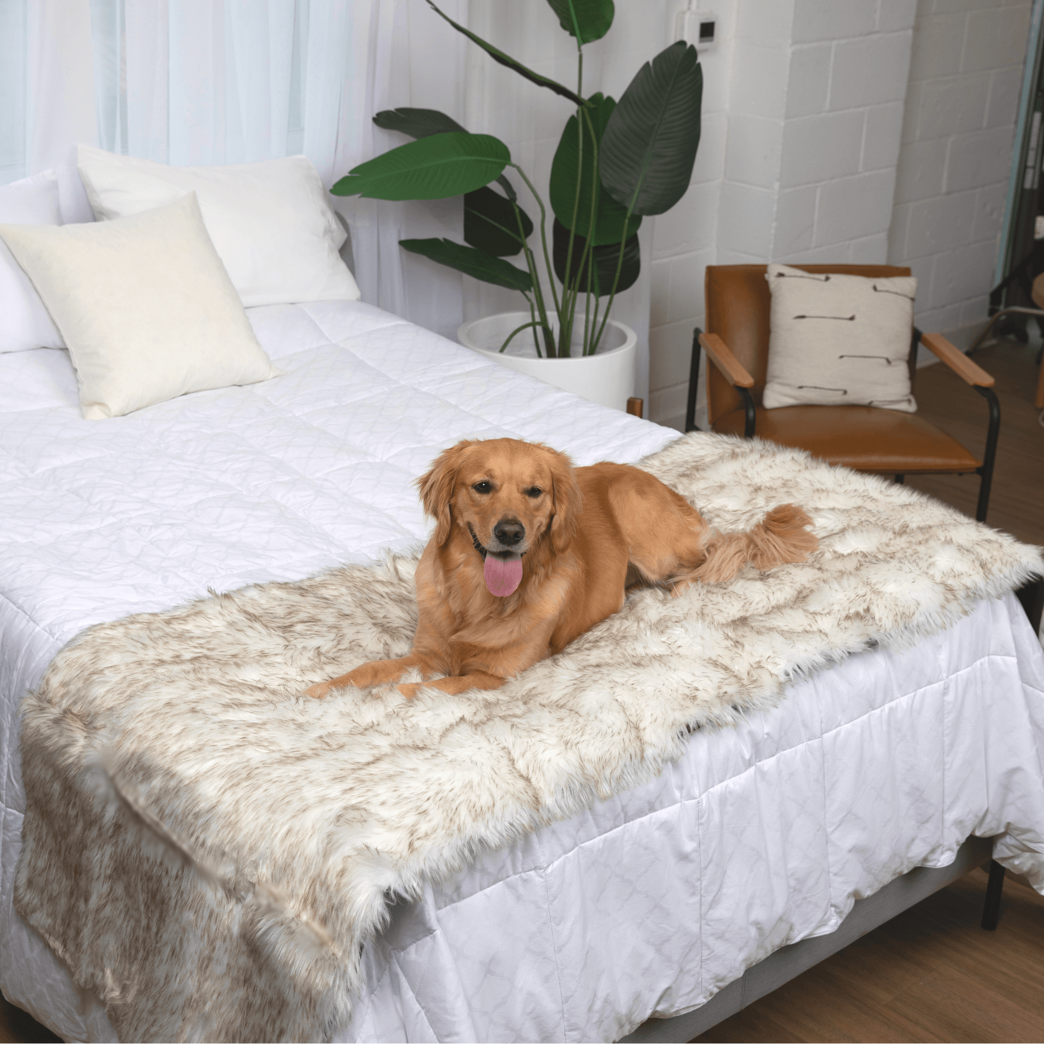 PupProtector™ Waterproof Bed Runner - White with Brown Accents - Southlake Paws