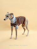 Load image into Gallery viewer, Bluebell Stripes Sweater 
