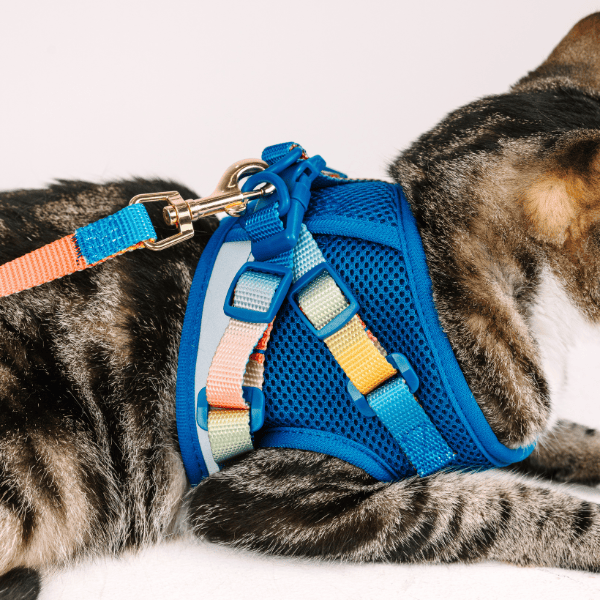 Atlas Cat Harness & Leash Set