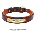 Load image into Gallery viewer, Padded Dog Collar - image 10
