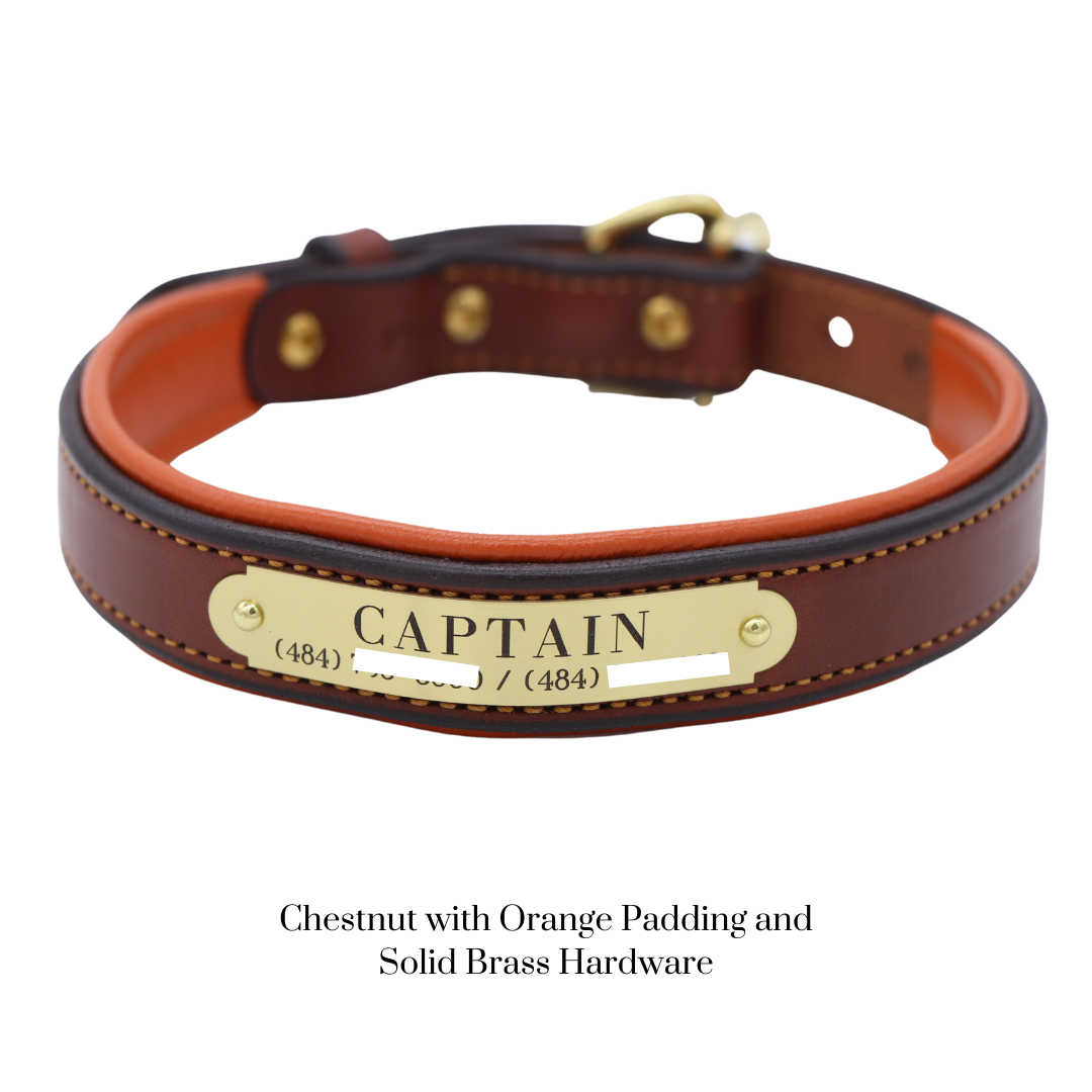 Padded Dog Collar - image 10