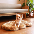 Load image into Gallery viewer, PupRug Faux Fur Orthopedic Dog Bed - Curve Sable Tan
