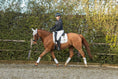 Load image into Gallery viewer, Snowlight Saddle Pad
