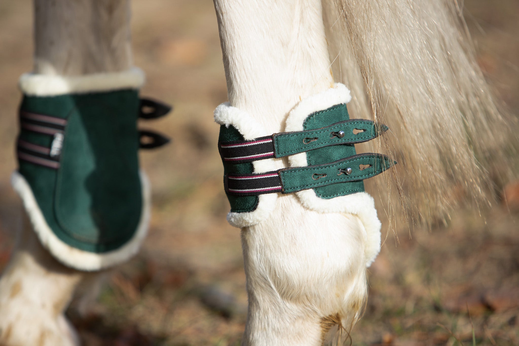 Southlake Paws Pine Grove Open-front Boots in green with white fleece lining, secured with adjustable straps on a horse's leg