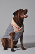 Load image into Gallery viewer, Spencer Wool Dog Sweater
