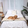 Load image into Gallery viewer, PupProtector™ Waterproof Bed Runner - White with Brown Accents
