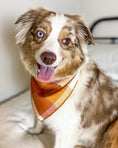 Load image into Gallery viewer, Pumpkin Spice | Flannel Dog Bandana, Plaid Bandana, Fall Bandana, High Quality Fabric, Rust, Orange, Copper - Southlake Paws
