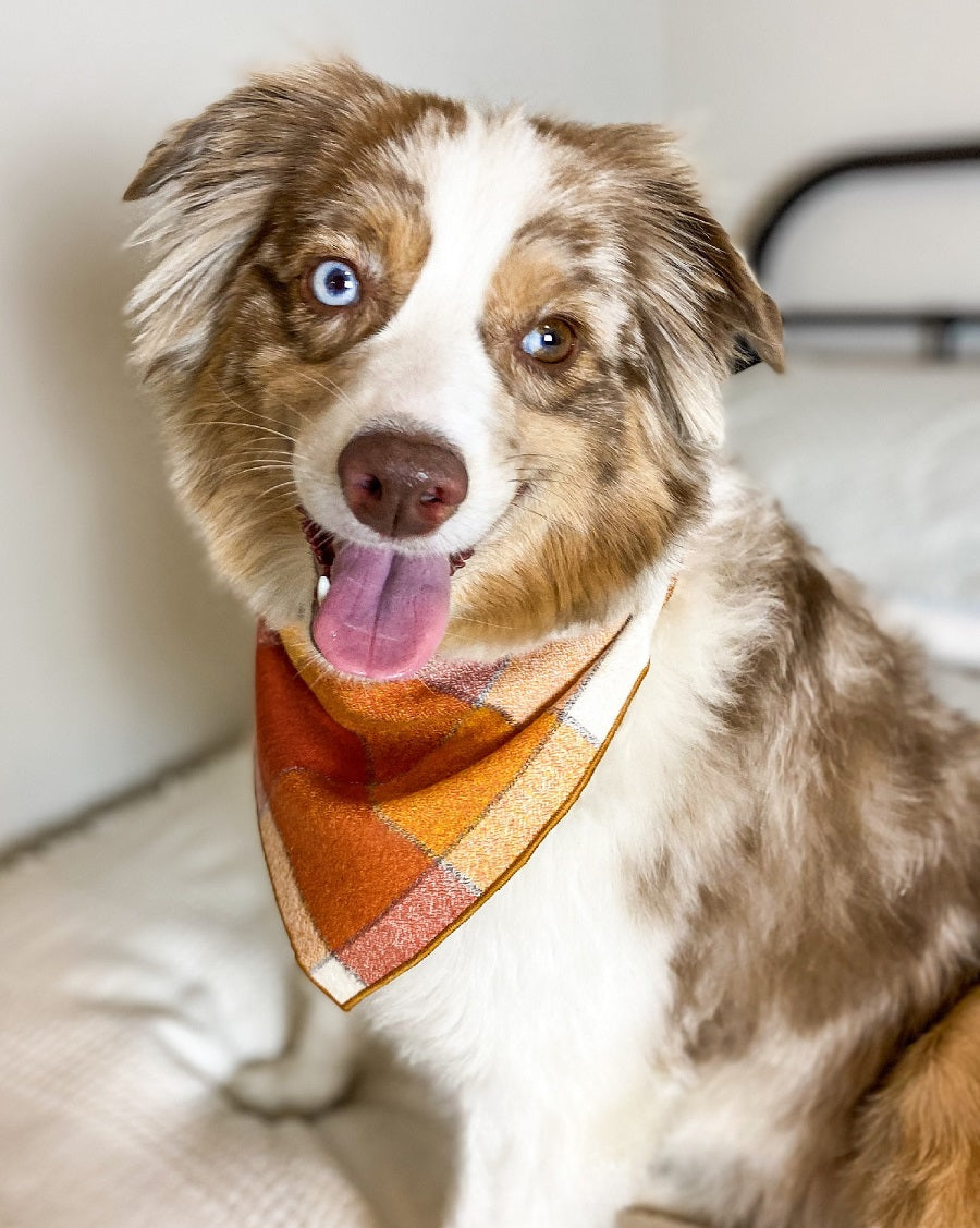 Pumpkin Spice | Flannel Dog Bandana, Plaid Bandana, Fall Bandana, High Quality Fabric, Rust, Orange, Copper - Southlake Paws