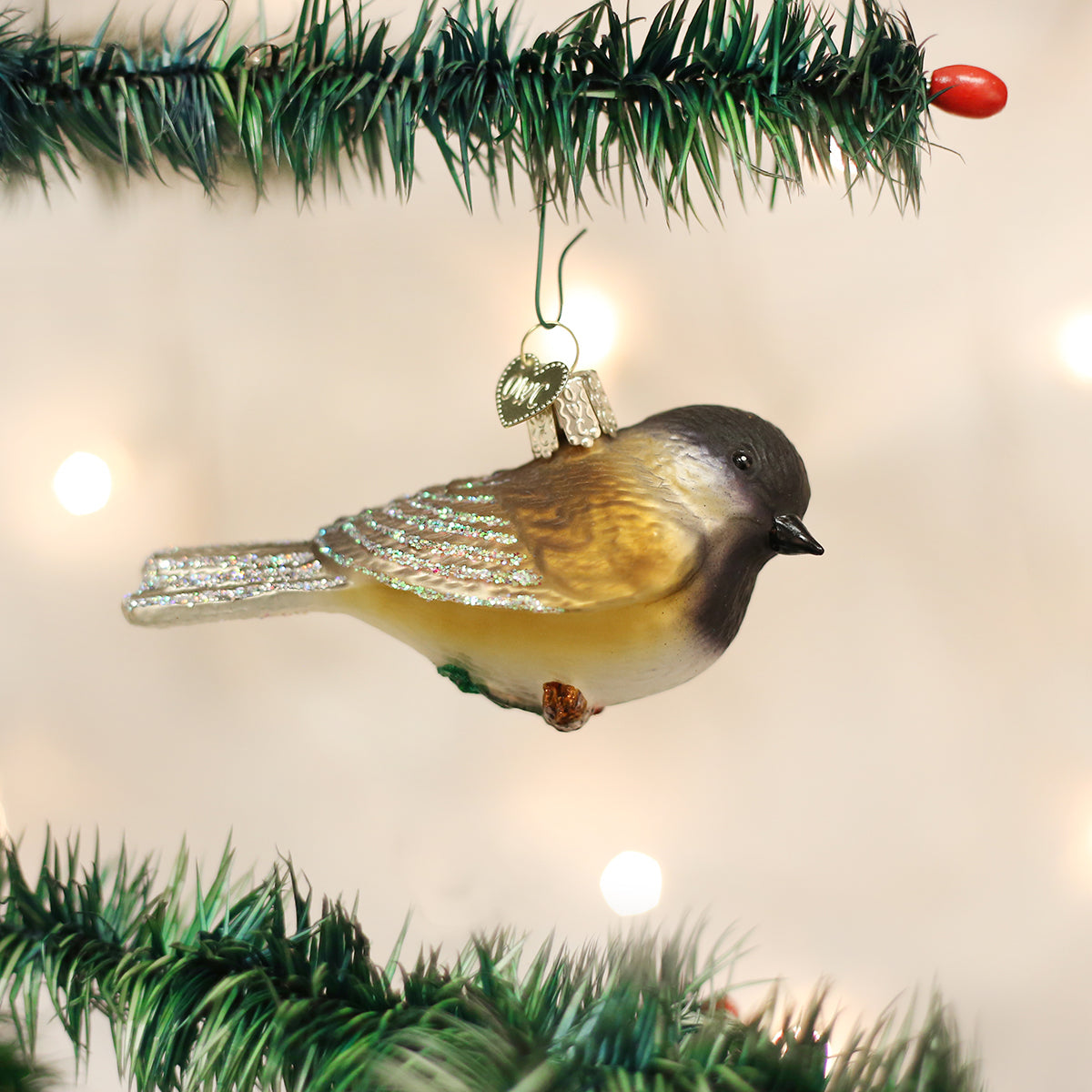 Black-capped Chickadee - Southlake Paws
