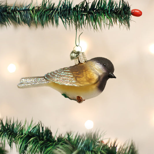 Black-capped Chickadee - Southlake Paws