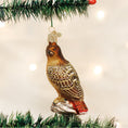 Load image into Gallery viewer, Red-tailed Hawk Ornament - Southlake Paws
