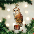 Load image into Gallery viewer, Barn Owl Ornament - Southlake Paws
